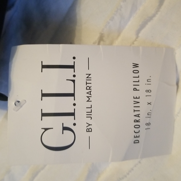 GILI by Jill Martin 18 x 18 pillow. - Picture 2 of 8